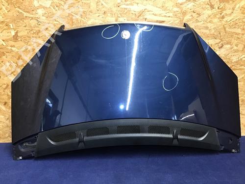 Capot MERCEDES-BENZ A-CLASS (W169) A 180 CDI (169.007, 169.307) (109 hp) 31380507