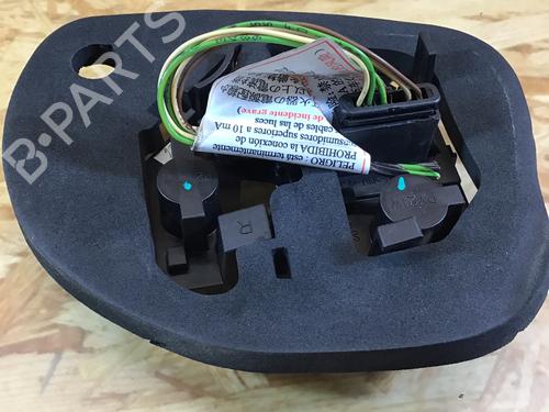 Used Lamp holder PEUGEOT 206+ (2L_, 2M_) 1.1 (60 hp) 31643902