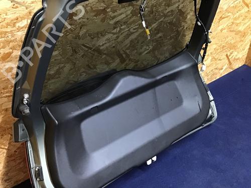 Tailgate SUZUKI IGNIS III (MF, FF) 1.2 Hybrid AllGrip (ATK412) | BP31919142C6 