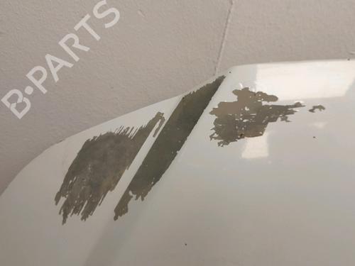 Hood SUZUKI SX4 (EY, GY) 2.0 DDiS 4x4 (RW420D) | BP34549115C1 - Image 3