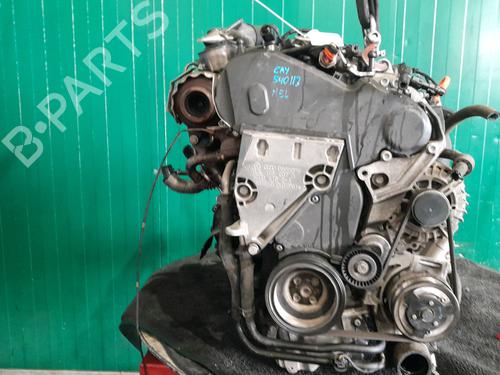 Used Starter VW POLO V (6R1, 6C1) 1.6 TDI (90 hp) 24029656