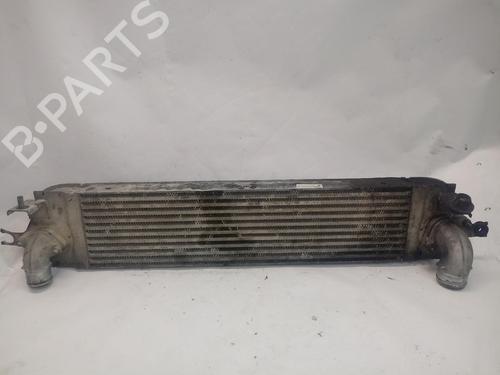 Intercooler Intercooler NISSAN X-TRAIL I (T30) [2001-2013] 34483221 34483221