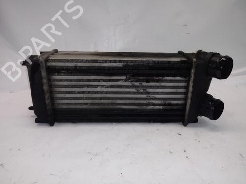 Used Intercooler Intercooler PEUGEOT 307 Break (3E) 1.6 HDi 110 (109 hp) 34483068 34483068