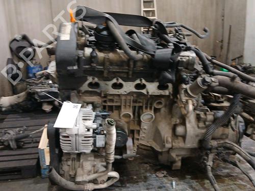 Starter SEAT IBIZA III (6L1) 1.4 16V | BP35734666M8 - Image 3
