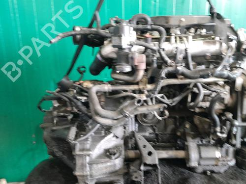 Starter NISSAN ALMERA II Hatchback (N16) 2.2 Di | BP35735017M8 - Image 4