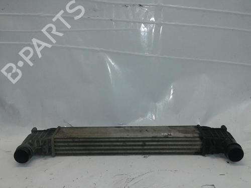 Used Intercooler Intercooler SEAT ALHAMBRA (7V8, 7V9) 1.9 TDI (90 hp) 34481455 34481455