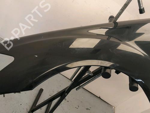Left front fenders MERCEDES-BENZ S-CLASS (W221, V221)  | BP17697421C41 