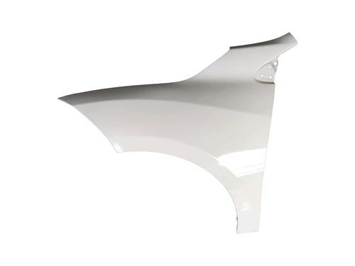 left-front-fenders-renault-megane-iii-hatchback-bz01_-b3_-2008-36405508 main image