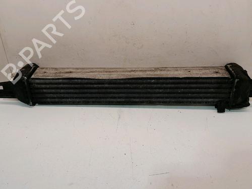 Used Intercooler PEUGEOT BIPPER (AA_) 1.4 HDi (68 hp) 15059739