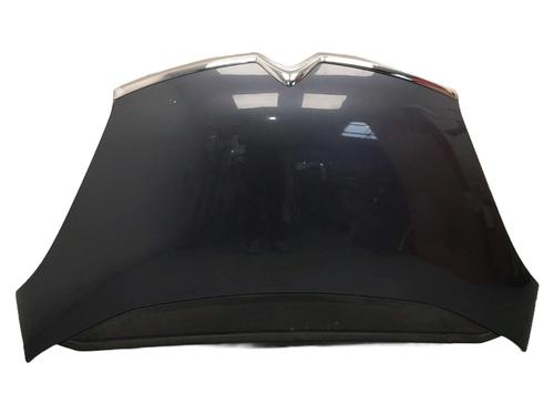 Capot Capot CITROËN C4 Picasso I MPV (UD_) 1.6 HDi 110 (112 hp) 34493838 34493838