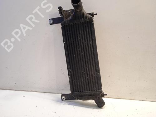 Used Intercooler Intercooler NISSAN PATHFINDER III (R51) [2005-2026] 34447099 34447099