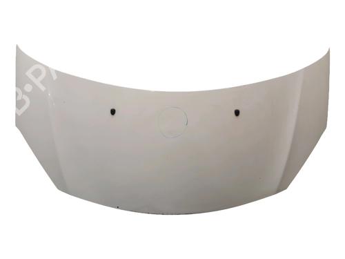 hood-citroen-c3-ii-sc_-2009-34551499 main image