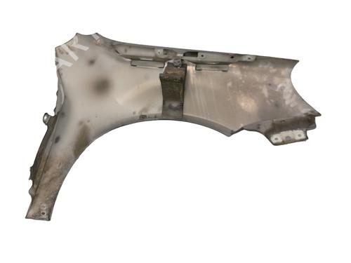 Left front fenders VW GOLF V (1K1) 1.9 TDI | BP24667368C41 