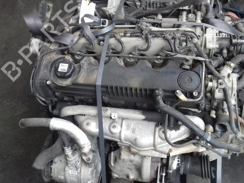 Engine ALFA ROMEO 166 (936_) 2.4 JTD (936AXA00, 936A3B00) | BP19048775M1 