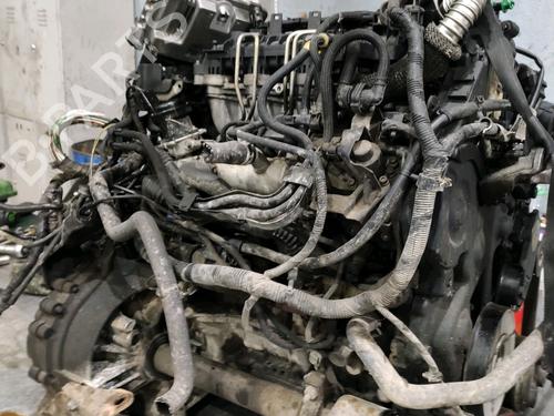 Alternator FORD FOCUS II (DA_, HCP, DP) 1.6 TDCi | BP37240931M7 - Image 4