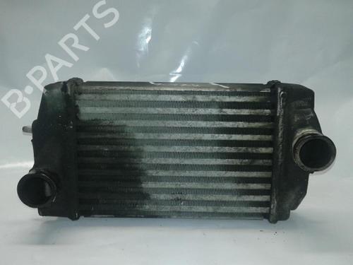 Used Intercooler Intercooler CHRYSLER VOYAGER IV (RG, RS) [1999-2008] 40511165 40511165