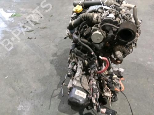 Starter DACIA SANDERO II 1.5 dCi | BP18567727M8