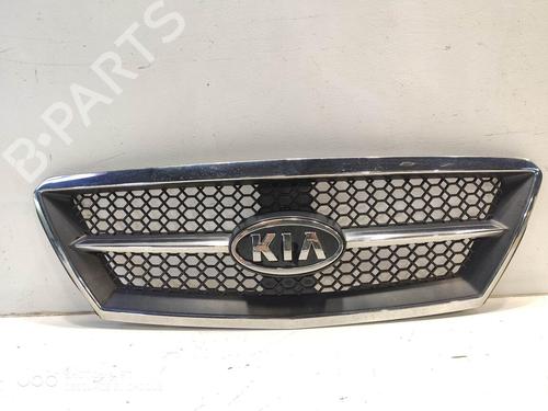 Used Grille Grille FORD TRANSIT CONNECT V408 Box Body/MPV 1.6 TDCi (95 hp) 34447026 34447026