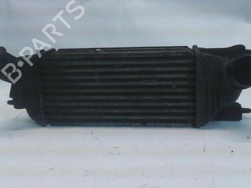 Used Intercooler Intercooler 36843014 36843014