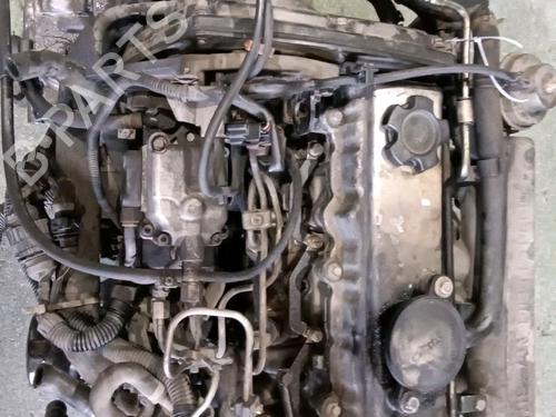Engine NISSAN PRIMERA Hatchback (P11) 2.0 TD | BP16672615M1 