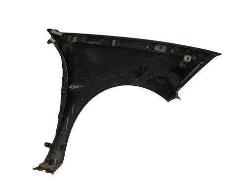 Left front fenders RENAULT MEGANE II Coupé-Cabriolet (EM0/1_) 1.6 16V | BP22222780C41 
