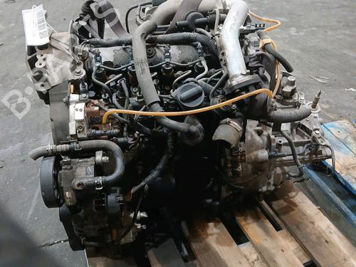 Engine NISSAN PRIMERA (P12)  | BP17698859M1 