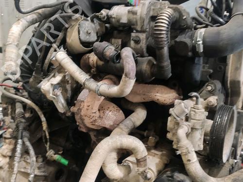 Starter FORD TRANSIT CONNECT (P65_, P70_, P80_)  | BP28036356M8 