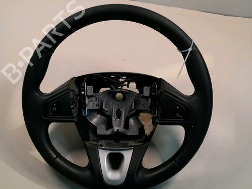 Rat Rat RENAULT SCÉNIC III (JZ0/1_) 1.5 dCi (110 hp) 34463714 34463714