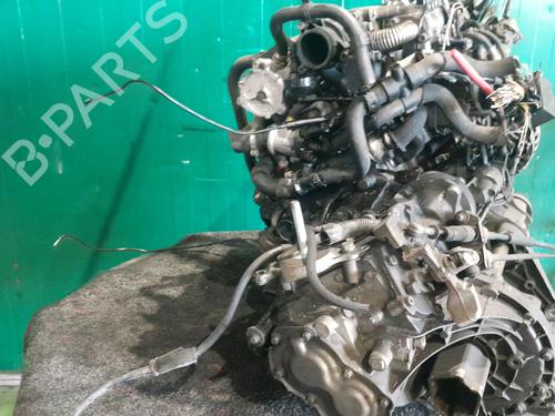 Engine FIAT STILO (192_) 1.9 JTD (192_XF1A) | BP34549863M1 - Image 2