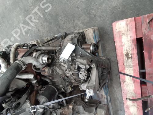 Used Gearbox FORD TRANSIT CONNECT (P65_, P70_, P80_) [2002-2025]  14478638