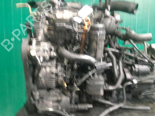 Engine SEAT LEON (1M1)  | BP24442362M1 