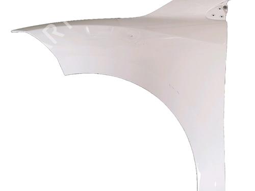 Used Left front fenders RENAULT MEGANE III Hatchback (BZ0/1_, B3_) [2008-2025]  26144664