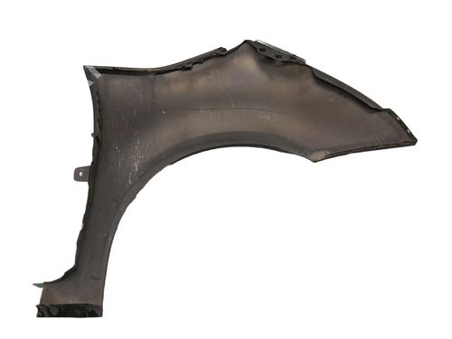 Left front fenders CITROËN C4 Picasso I MPV (UD_) 1.6 HDi 110 | BP25824843C41 