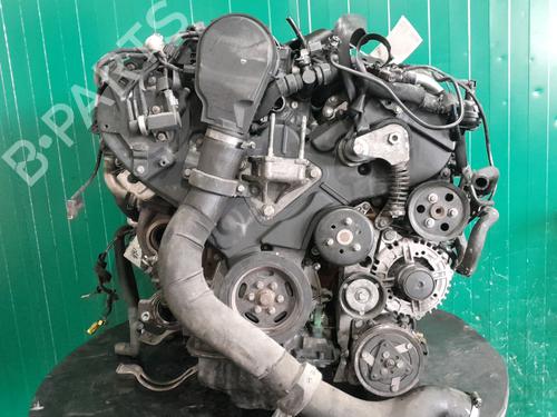 Motor PEUGEOT 607 (9D, 9U) 2.7 HDi 24V (204 hp) 24169506