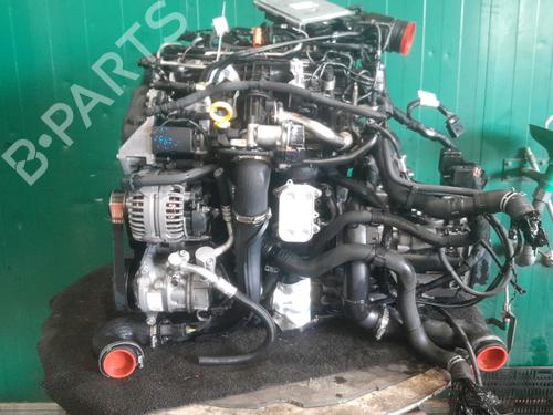 Engine SKODA RAPID Spaceback (NH1) 1.6 TDI | BP38158124M1 - Image 3