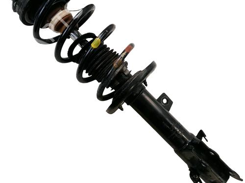 left-front-shock-absorber-ford-ecosport-2011-2012-2013-2014-2015-2016-2017-2018-2019-2020-2021-2022-34550881 main image