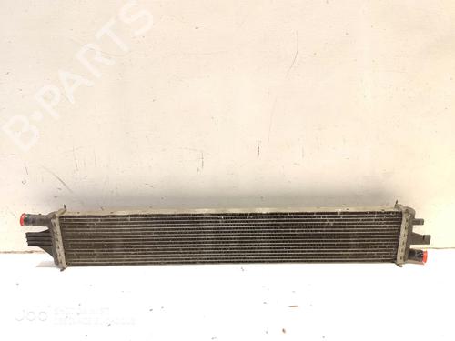 Køler RENAULT MASTER III Van (FV) 2.3 dCi 125 FWD (FV0C, FV0D, FV0G, FV0H, FV0J, FV0K) (125 hp) 14466378