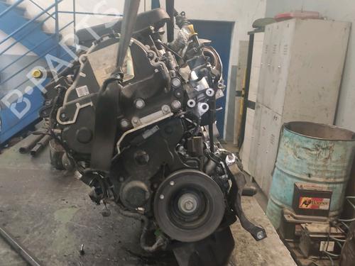 Andre Andre 38255164 38255164