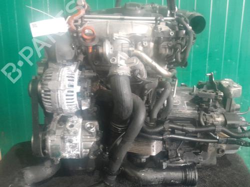 Engine VW TOURAN (1T1, 1T2) 2.0 TDI 16V | BP25284186M1 