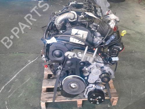Engine FORD FOCUS II (DA_, HCP, DP)  | BP17672489M1 