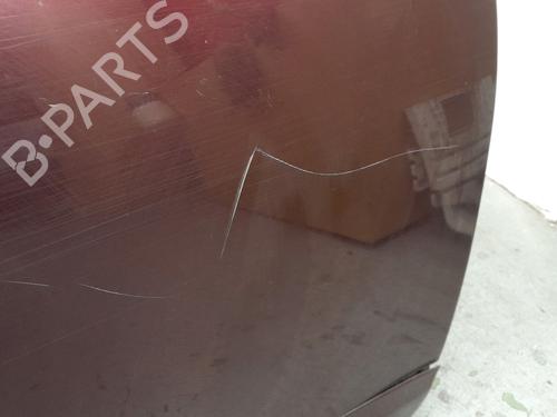 Right front door RENAULT SCÉNIC III VAN (JZ0/1_) 1.5 dCi (JZ02) | BP29042628C3