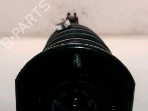 Left front shock absorber TESLA MODEL S (5YJS) 85 | BP16085739M16 