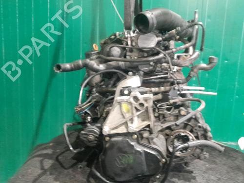 Engine SEAT LEON (1M1)  | BP24442362M1 