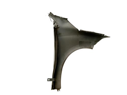 Left front fenders RENAULT MEGANE III Grandtour (KZ0/1) 1.5 dCi (KZ0C, KZ1A) | BP24176067C41 