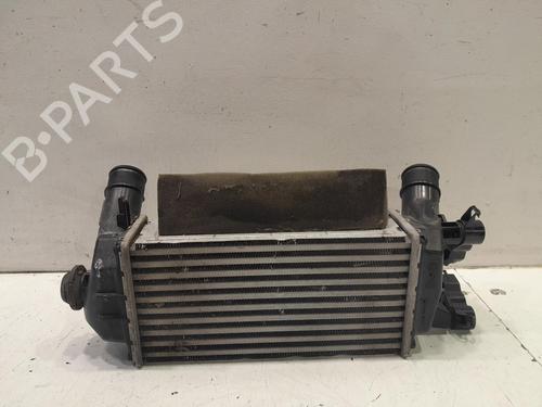 Intercooler Intercooler FORD ECOSPORT 1.0 EcoBoost (125 hp) 34489969 34489969