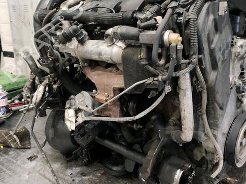 Engine PEUGEOT 407 (6D_) 2.0 HDi 135 (6DRHRH, 6DRHRE, 6DRHRG, 6DRHRJ) | BP36405475M1 - Image 4