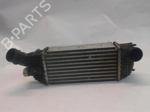 Used Intercooler Intercooler CITROËN C5 III (RD_) 2.0 HDi 165 (RDRHHA, RDRHH8) (163 hp) 34482110 34482110