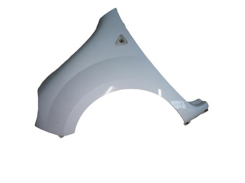 Used Left front fenders RENAULT KANGOO Express (FW0/1_) 1.5 dCi 75 (FW07, FW10, FW04) (75 hp) 19325344