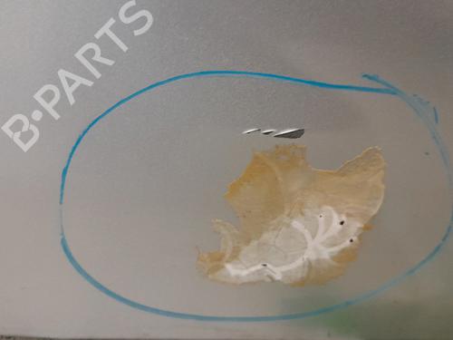 Right rear door OPEL VIVARO A Bus (X83) 2.5 CDTI (F7, J7, A07) | BP26123657C5