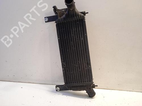 Used Intercooler Intercooler NISSAN PATHFINDER III (R51) [2005-2026] 34447099 34447099